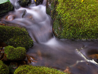 Composite of multiple long-exposure images of the stream of a brook with rocks and logs covered in moss, captured at the hillside of the Iguaque mountain in the central Andes of Colombia.