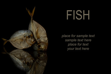 
The food is fish. Smoked fish. Black background. Horizontal photo