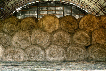 Hay bales being stored in an old tin barn at russian countryside © Georgy Dzyura