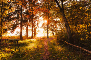 Obraz premium Monza park landscape in autumn
