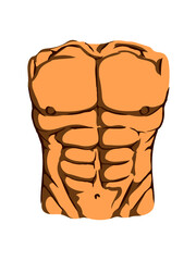Bauch Muskeln Sixpack 