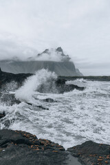 Iceland landscape, Coastline and nature in summer.