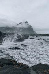 Iceland landscape, Coastline and nature in summer.