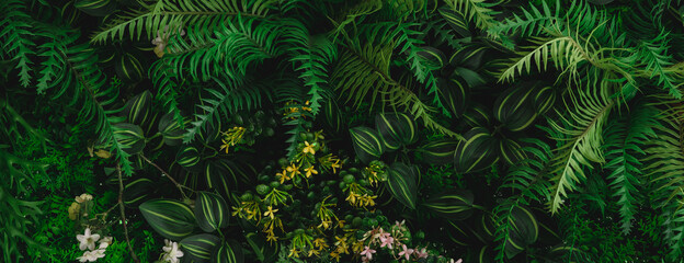 Panele Szklane  Monstera green leaves or Monstera Deliciosa in dark tones(Monstera, palm, rubber plant, pine, bird’s nest fern), background or green leafy tropical pine forest patterns for creative design elements. 