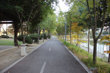 Paved pedestrian way or walk way with trees on sides for public walk