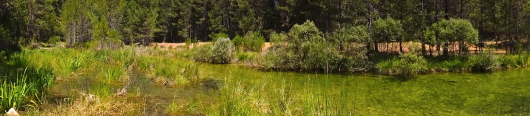 Paisaje de rio en Sierra del Segura - España