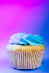 tasty Cupcake or muffin with blue cheese cream frosting