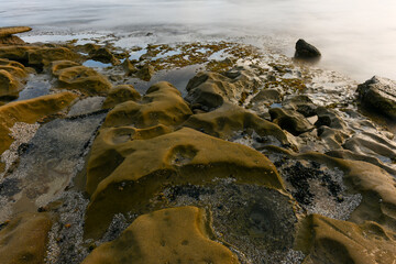 Tide Pools - La Jolla, San Diego, California