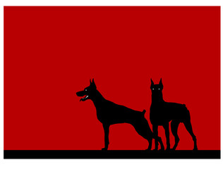 Watchdogs. Stylized image of two alert Dobermans. Vector image for illustrations.