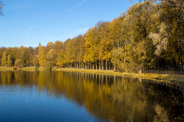 Autumn forest lake water landscape