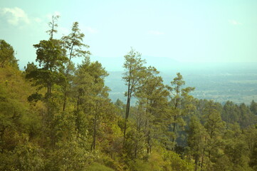 Obraz premium The mountain peaks are lined with trees and a foggy weather background, giving a dramatic impression. images suitable for use as wallpaper or graphic resources
