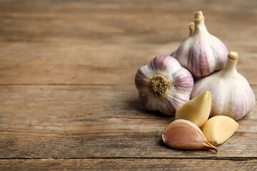 Fresh organic garlic on wooden table. Space for text
