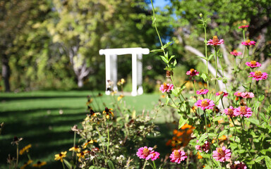 A gazebo stands behind a rose garden