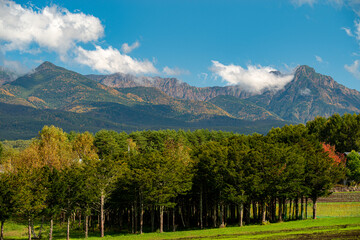 High mountains where the autumn leaves have begun