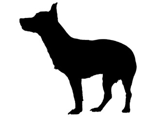犬シルエット_1