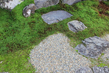 苔に覆われた地面に配置された飛び石/踏み石(日本庭園の一部分)