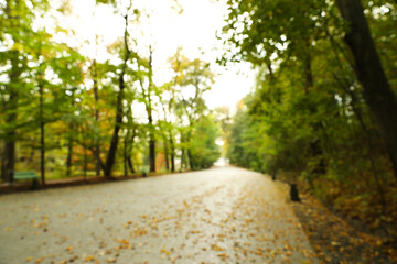 Fototapeta premium Blurred view of beautiful park with trees on autumn day