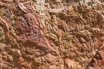 Trace of trilobites fossilized in the stone