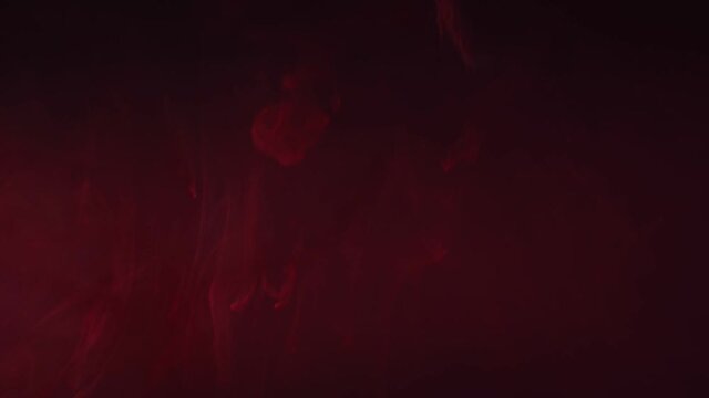 Pink and red paint drops mixing in water slow motion. Smooth ink swirling and splashing from above underwater. Ink cloud on black background. Colored abstract smoke explosion.