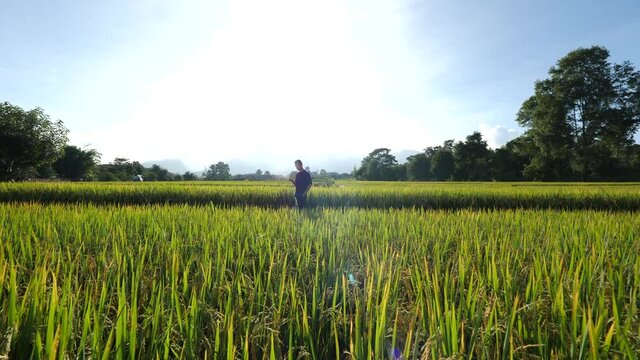 Asian man with a camera to take pictures of rice fields