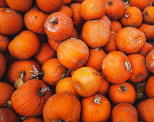 Suppenkübis zum Schnitzen