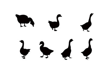 goose silhouette icon vector set for logo