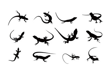 lizard silhouette icon vector set for logo