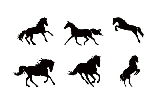 horse silhouette icon vector set for logo