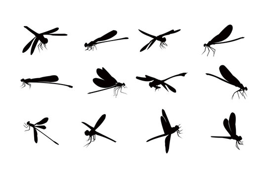 dragonfly silhouette icon vector set for logo