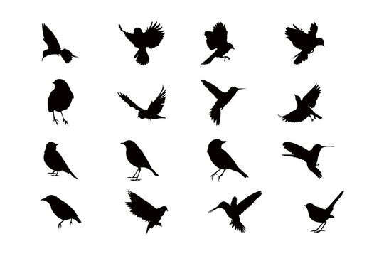 flying bird silhouette icon vector set for logo
