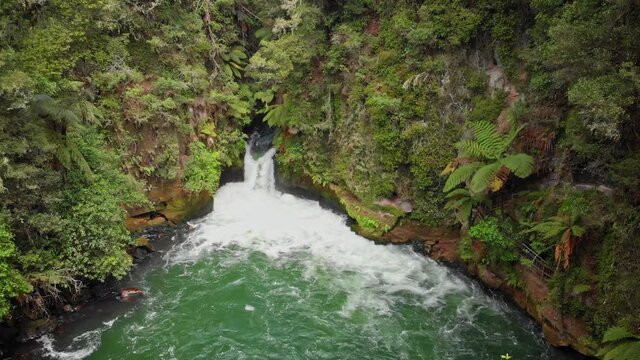 Beautiful bush setting with waterfall, Kaituna river, Rotorua