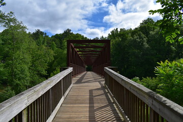 wooden bridge in the forest