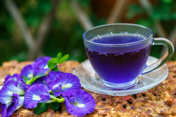 
Butterfly Pea flower water in clear glass and butterfly pea flower Thai herbs placed on a red stone floor
