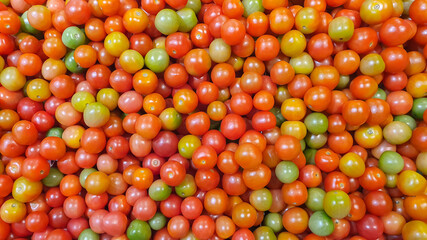 Fresh ripe red tomatoes