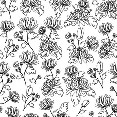 Black and white, floral chrysanthemum bouquets, outline handmade illustration, sketch drawing over white background