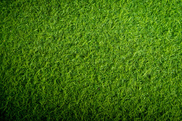 Obraz premium Green artificial grass texture for background