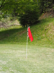 Fototapeta na wymiar ゴルフ場のグリーンに立つ旗竿