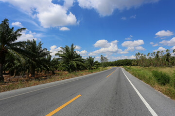 Fototapeta premium Rural road with trees on both sides during.