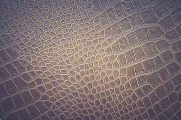 Brown snake skin pattern animal nature background