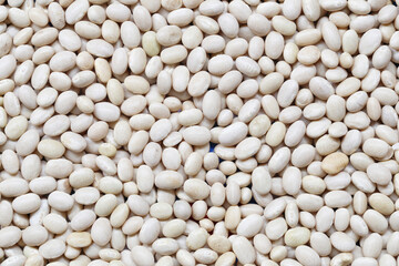 White beans background.