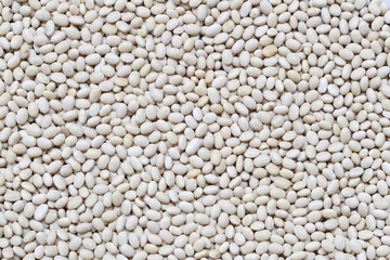 White beans background.