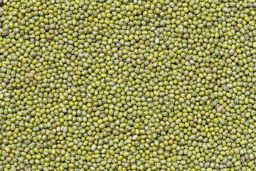 Fresh seed green beans background.