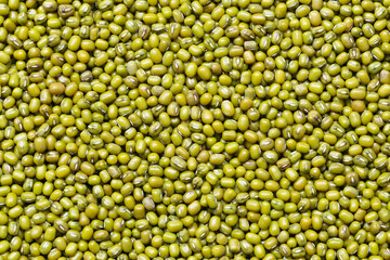 Fresh seed green beans background.
