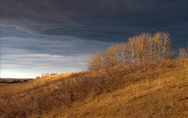 storm clouds in the late autumn