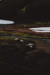 Iceland Landscape. Highlands in Summer.