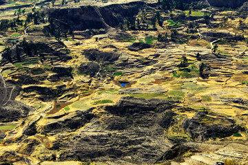 Mountains and vegetation in open fields of Arequipa
