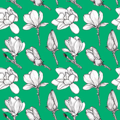Sketch Floral Botany Seamless Pattern. Magnolia flower drawings. Black and white with line art on green backgrounds.