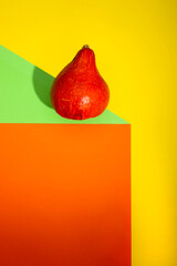 Geometric still life with orange pumpkin on a colored background
