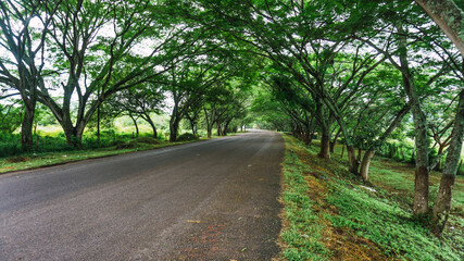 Beauty and green road in Intibuca Honduras