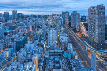Tokyo cityscape skyline in Tokyo, Japan at night